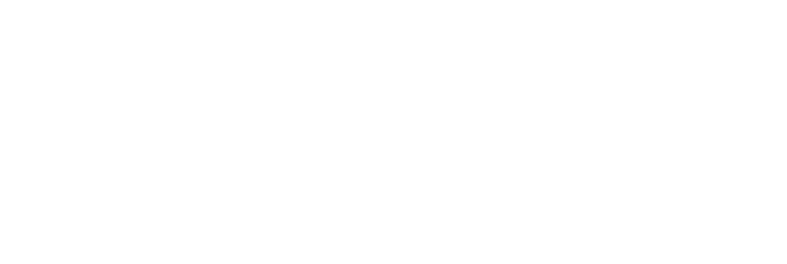 Sodexo Logo - White